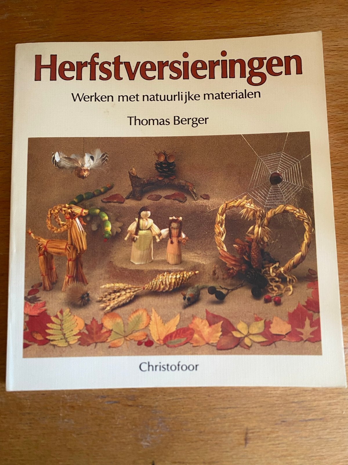 Herfstversieringen: Werken met natuurlijke materialen, Ophalen of Verzenden, Gelezen, Scrapbooking en Knutselen, Geschikt voor kinderen