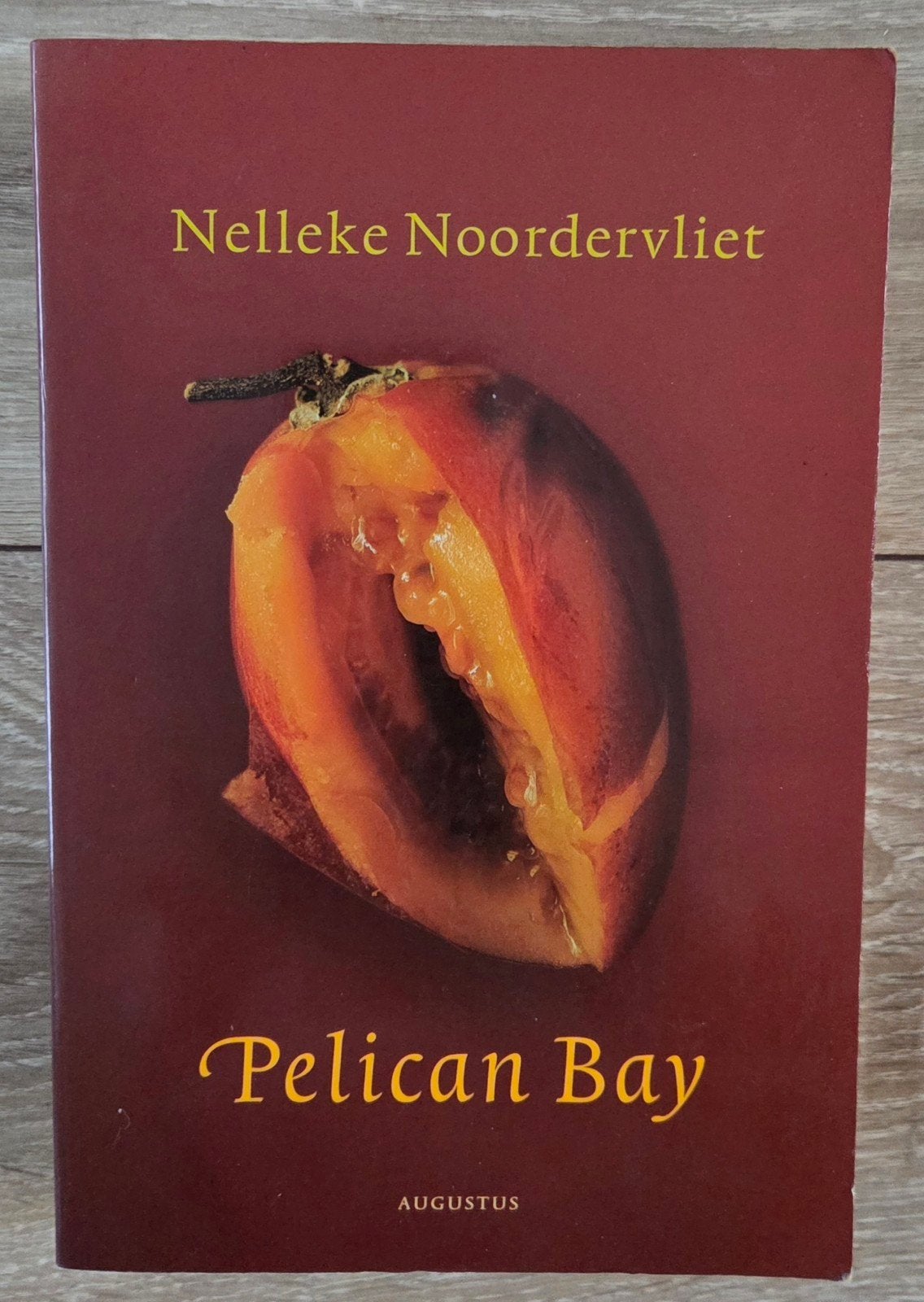 Nelleke Noordervliet - Pelican Bay, Ophalen of Verzenden, Gelezen, Nelleke Noordervliet