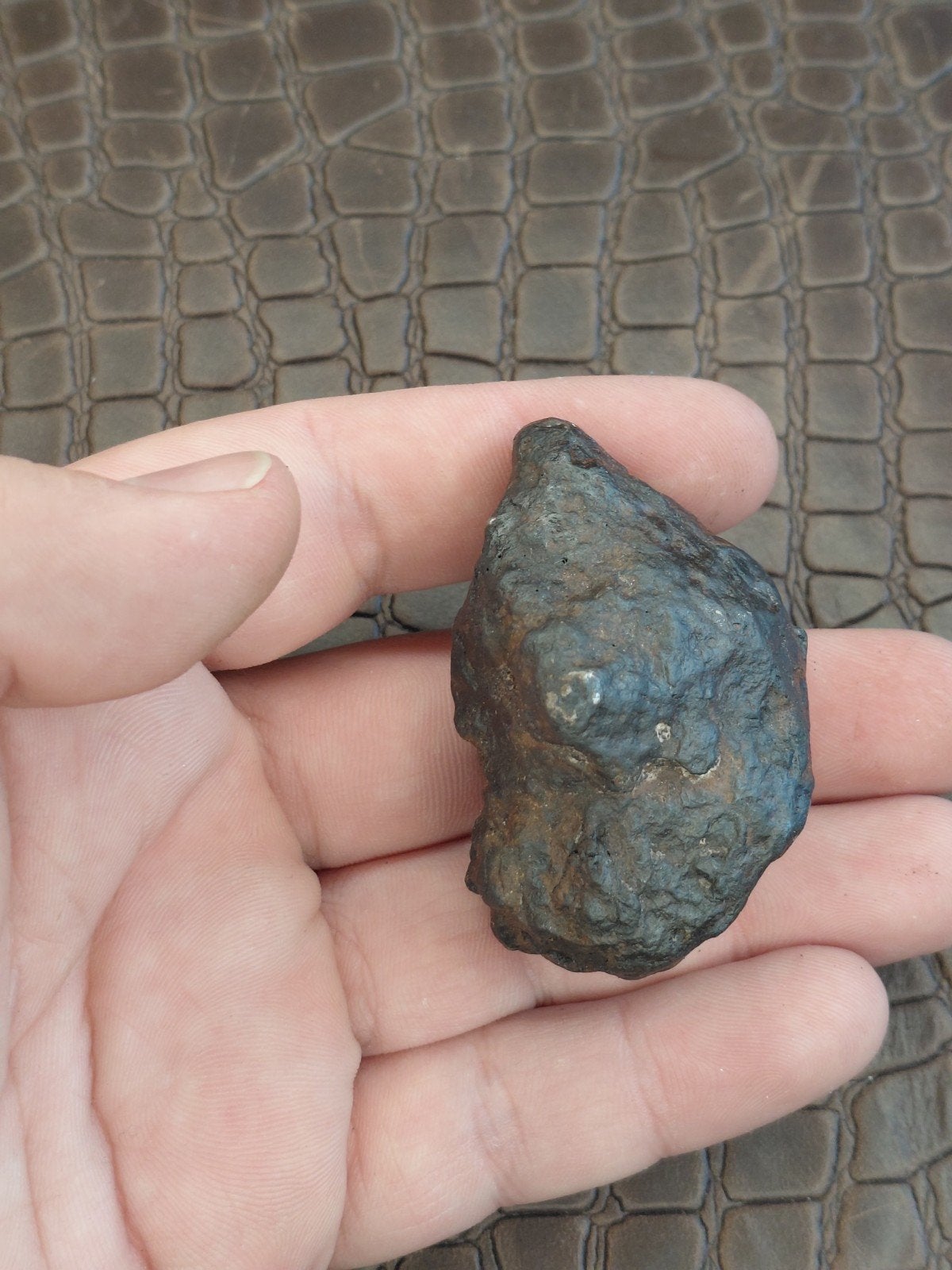 127 gram XL ijzer meteorieten speciment, Verzamelen, Mineralen en Fossielen, Verzenden