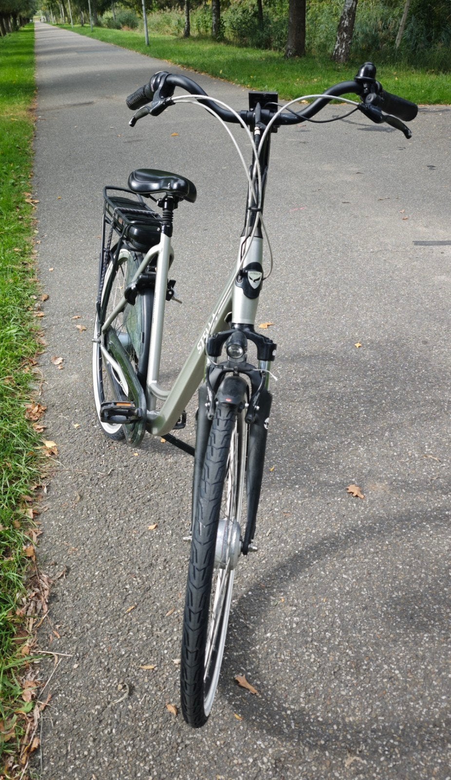 Stella Livorno E-bike, Ophalen of Verzenden, Zo goed als nieuw, Overige merken