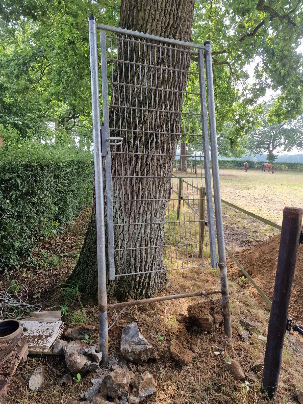 Stevig ijzeren hekwerk met poort - Gebruikt, Tuin en Terras, Ophalen, Met poort, Gebruikt, Gaashekwerk