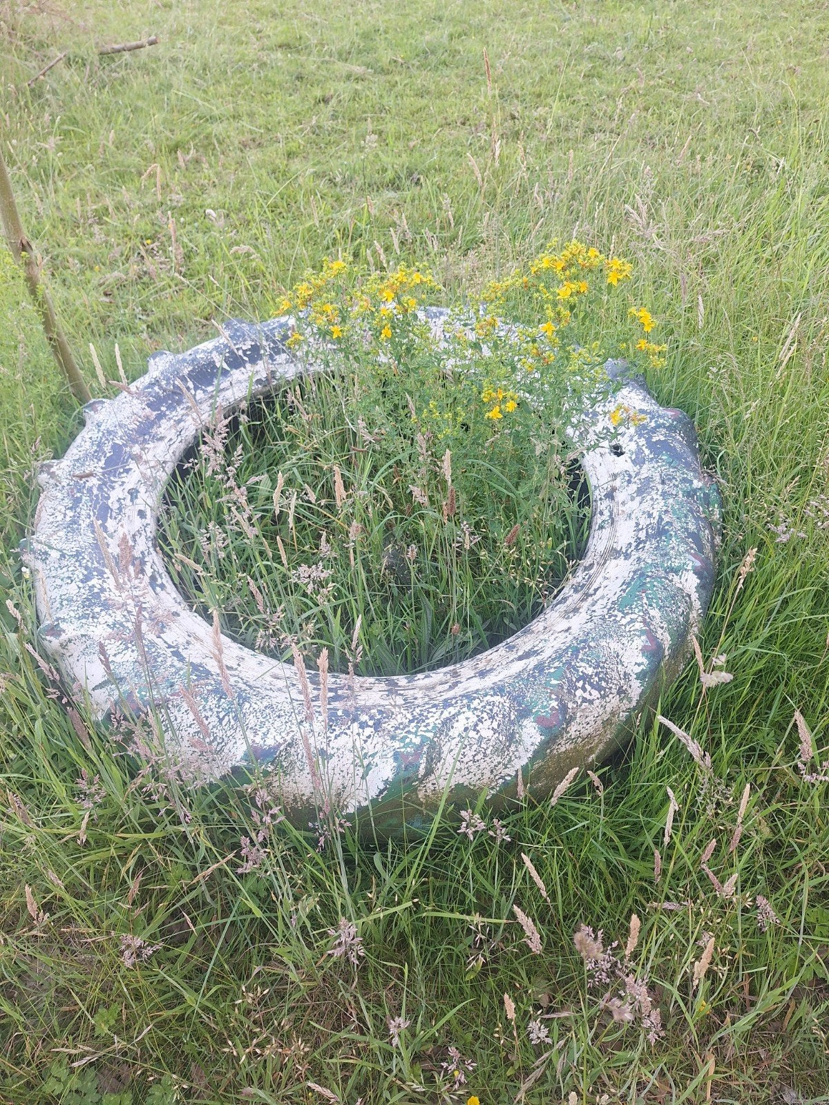 Gratis af te halen tractor achterband, Dieren en Toebehoren, 0 tot 2 jaar