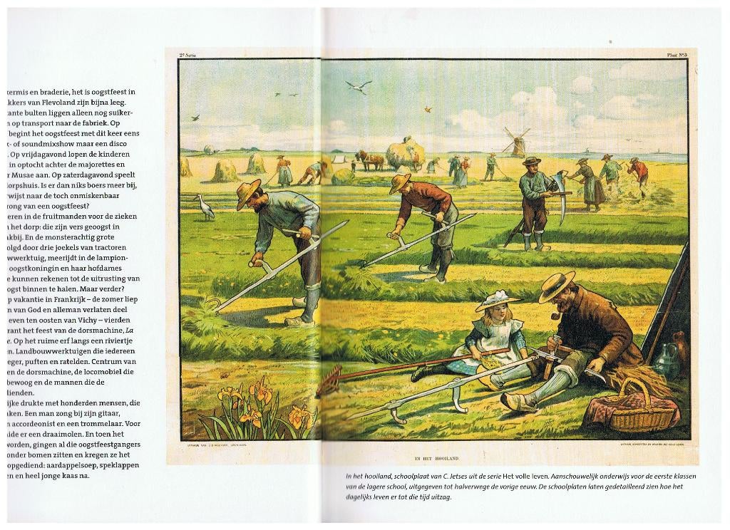 Boerenbouw  Sietske van der Hoek  B3, Boeken, Ophalen of Verzenden, Zo goed als nieuw