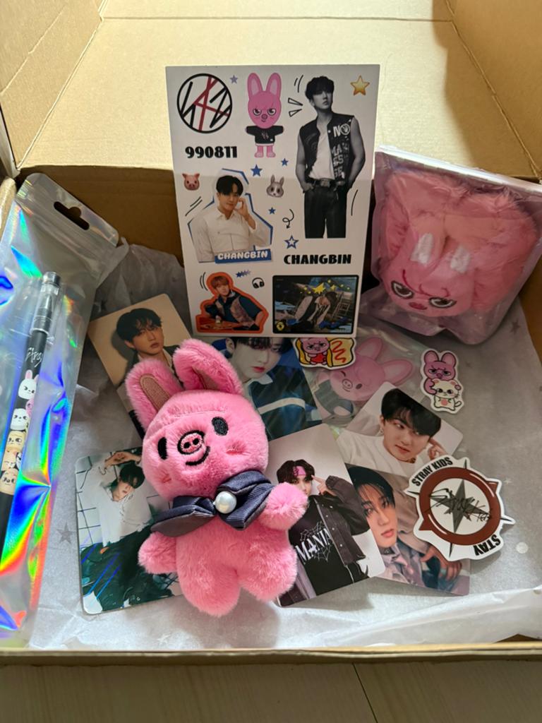 Stray Kids mystery fanbox met album, Ophalen of Verzenden, Nieuw, Cd of Plaat