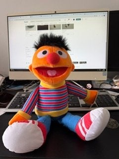 Ernie knuffel, Ophalen, Overige merken, Overige karakters, Overige typen
