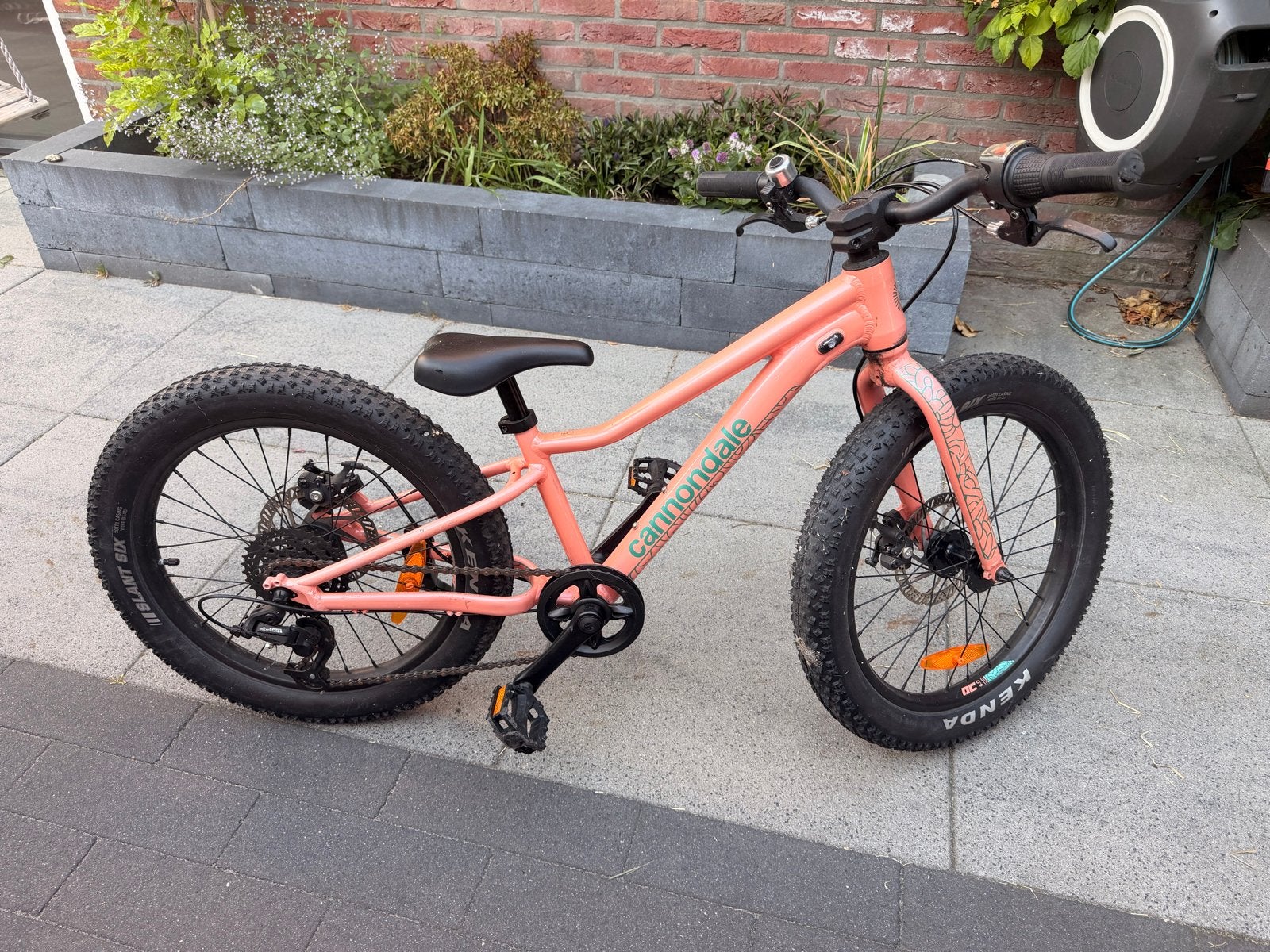 Cannondale Mountainbike Bimbo Kids Trail Plus 20, Ophalen, Zo goed als nieuw, Schijfrem, 20 inch of meer