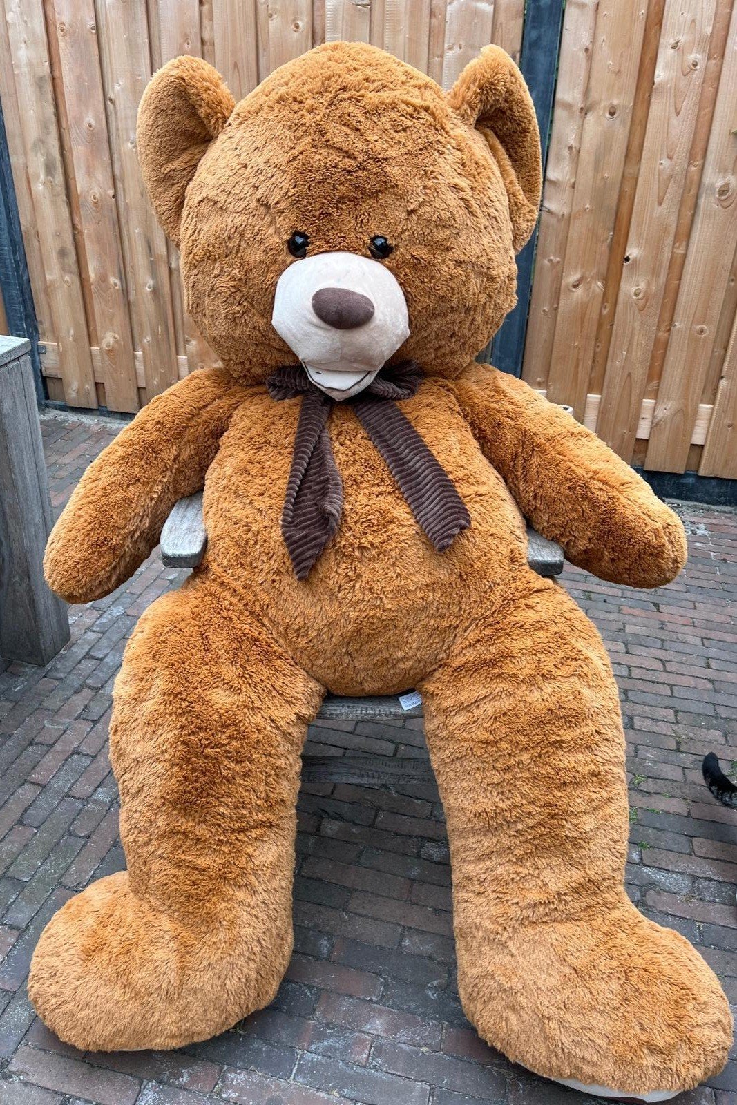 Grote knuffelbeer - Petra Toys - Bruin - 1.60m, Overige merken, Overige karakters, Beer, Ophalen of Verzenden