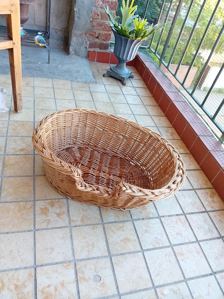 Rieten Honden Mandje, Ophalen, Zo goed als nieuw, Riet