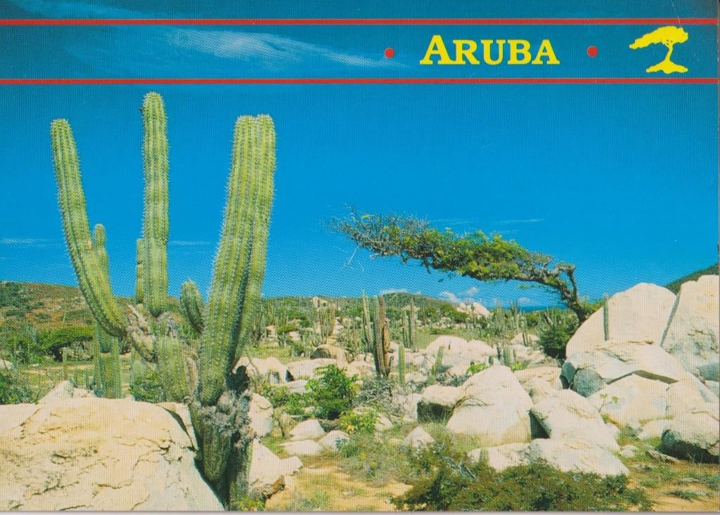 Aruba Cactussen en Divi Divi boom, Verzamelen, Verzenden, 1980 tot heden, Ongelopen, Natuur