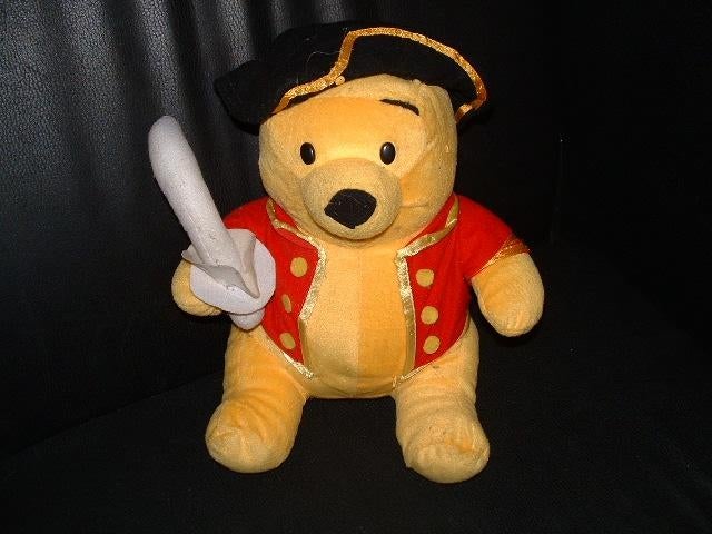 THE WALT DISNEY COMPANY BEER WINNIE THE POOH VELOUR, Ophalen of Verzenden, Nieuw, Overige typen