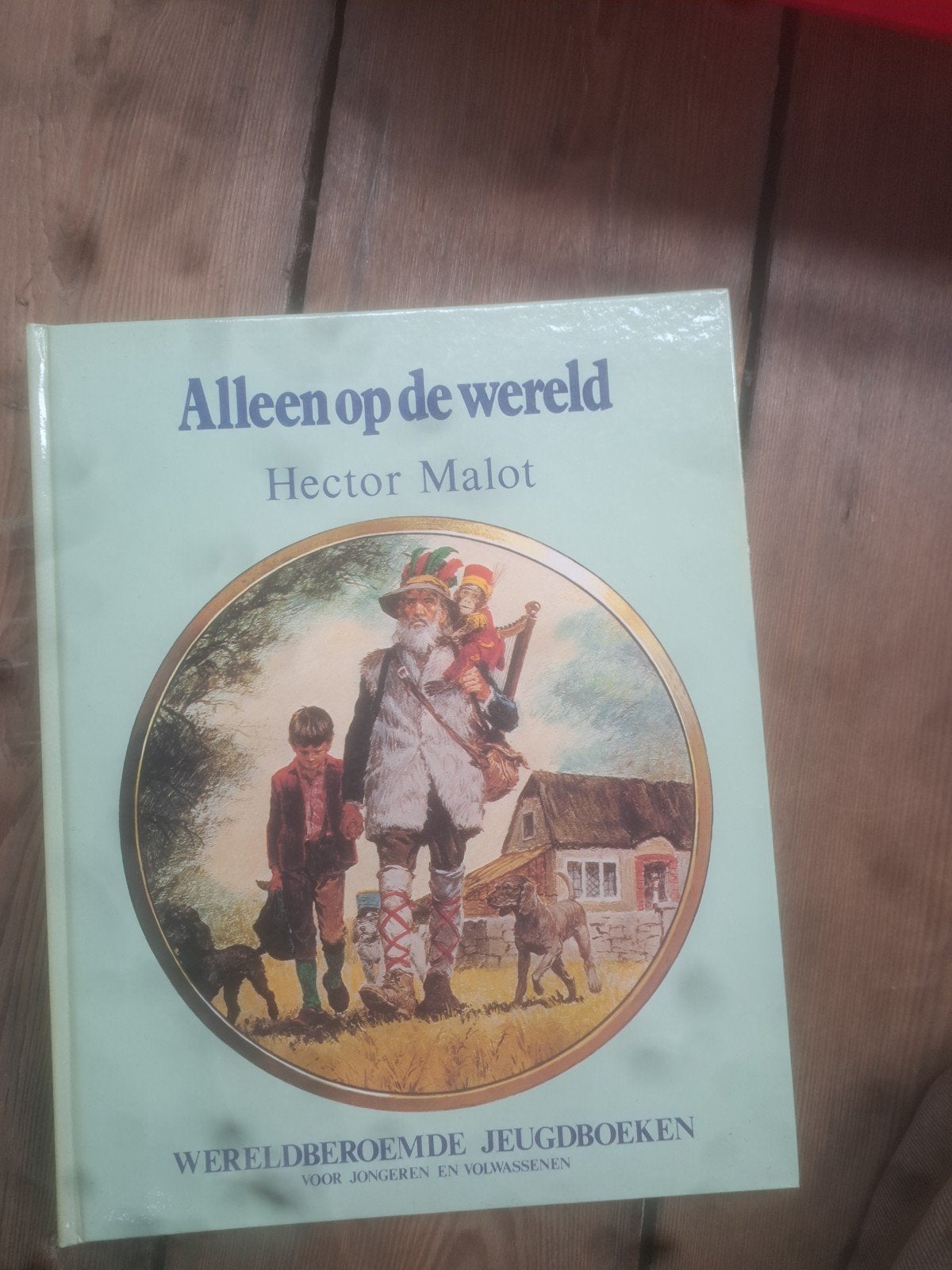 Alleen op de wereld - Hector Malot (Jeugdboek), Ophalen of Verzenden, Gelezen, Hector Malot, Fictie