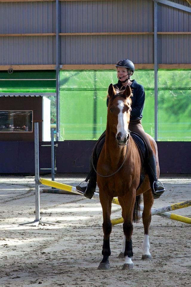Training lessen met plezier van 0 tot 100 in 10 lessen🩷, Diensten en Vakmensen, Dieren | Paarden | Verzorging, Oppas en Les, Ruiter of Bijrijder