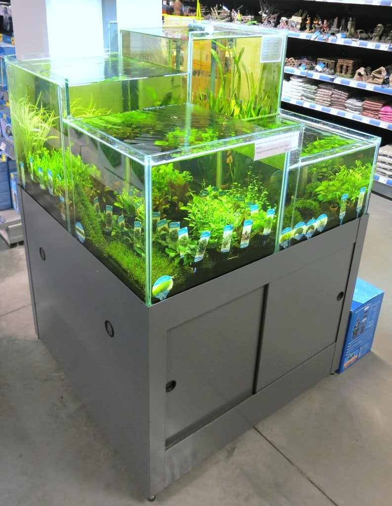 Planten verkoop aquarium, Ophalen, Nieuw, Aquariummeubel, Overige merken