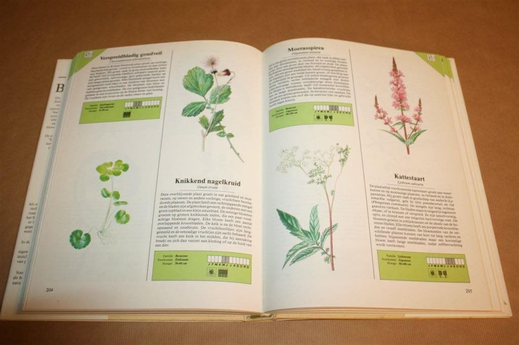 Het boek in kleur over wilde bloemen, Boeken, Ophalen of Verzenden, Gelezen, Bloemen, Planten en Bomen