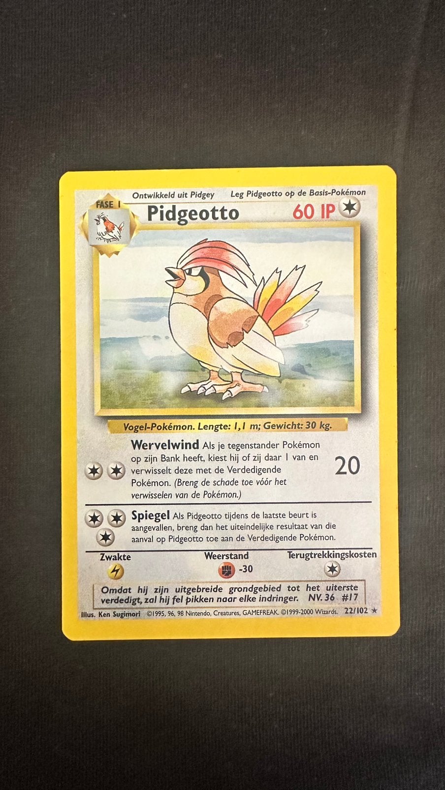 Pidgeotto, Ophalen of Verzenden, Zo goed als nieuw