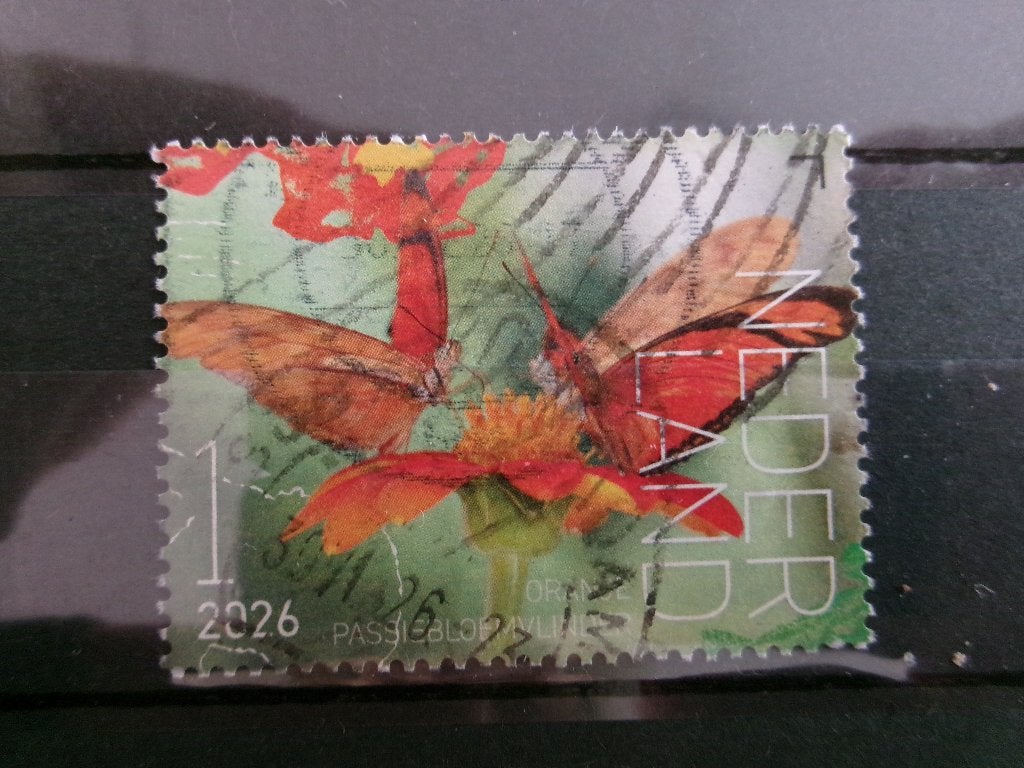 2026 - vlinder saba - passiebloemvlinder (805b), Postzegels en Munten, Ophalen of Verzenden, Gestempeld