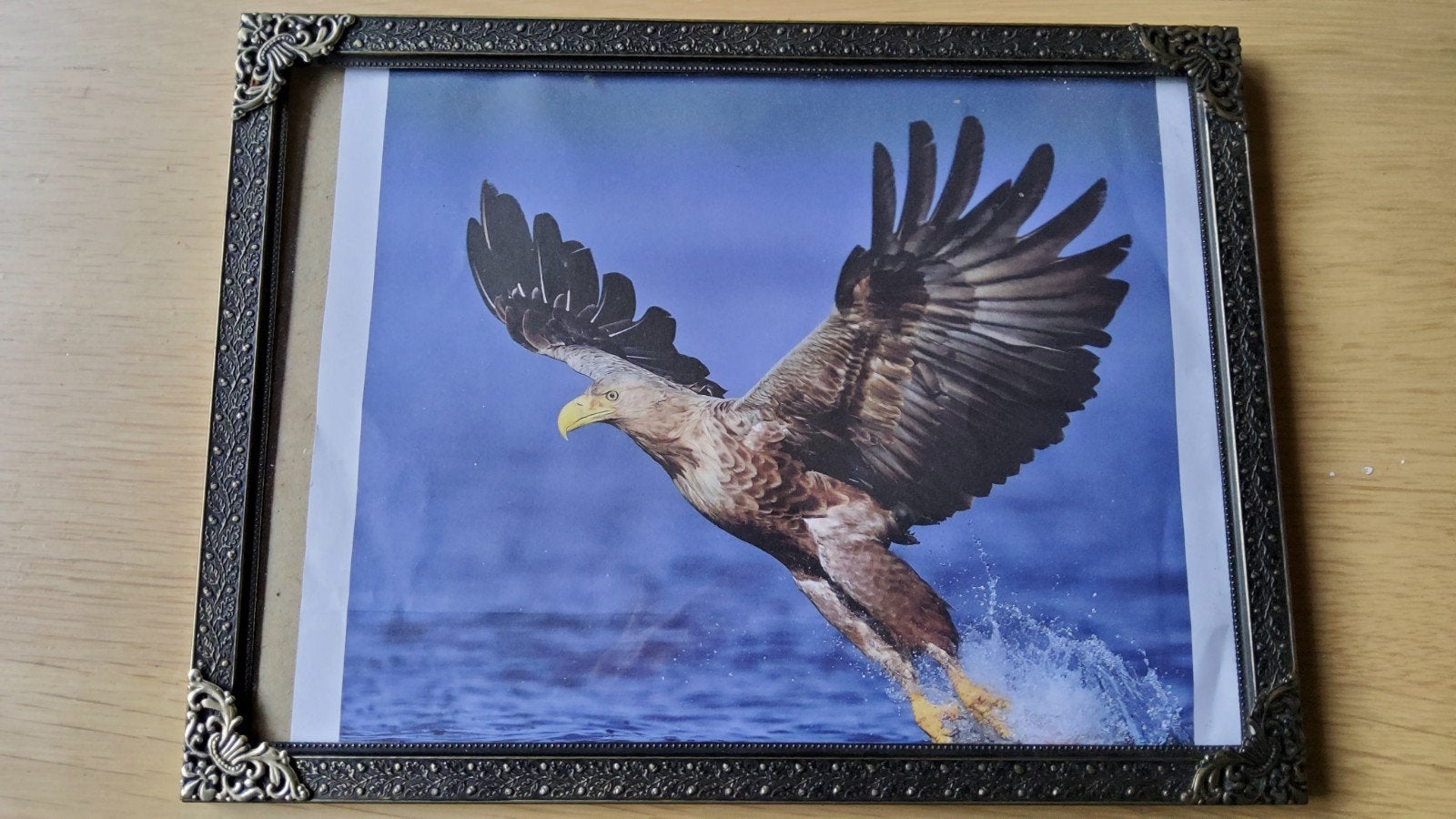 Groot antiek zilver kleur fotolijstje bewerkte hoek bol glas, Antiek en Kunst, Ophalen of Verzenden