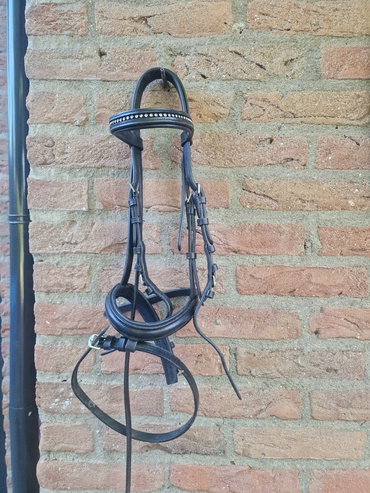 leren hoofstel maat shet, Shetlander, Hoofdstel, Overige disciplines, Ophalen of Verzenden