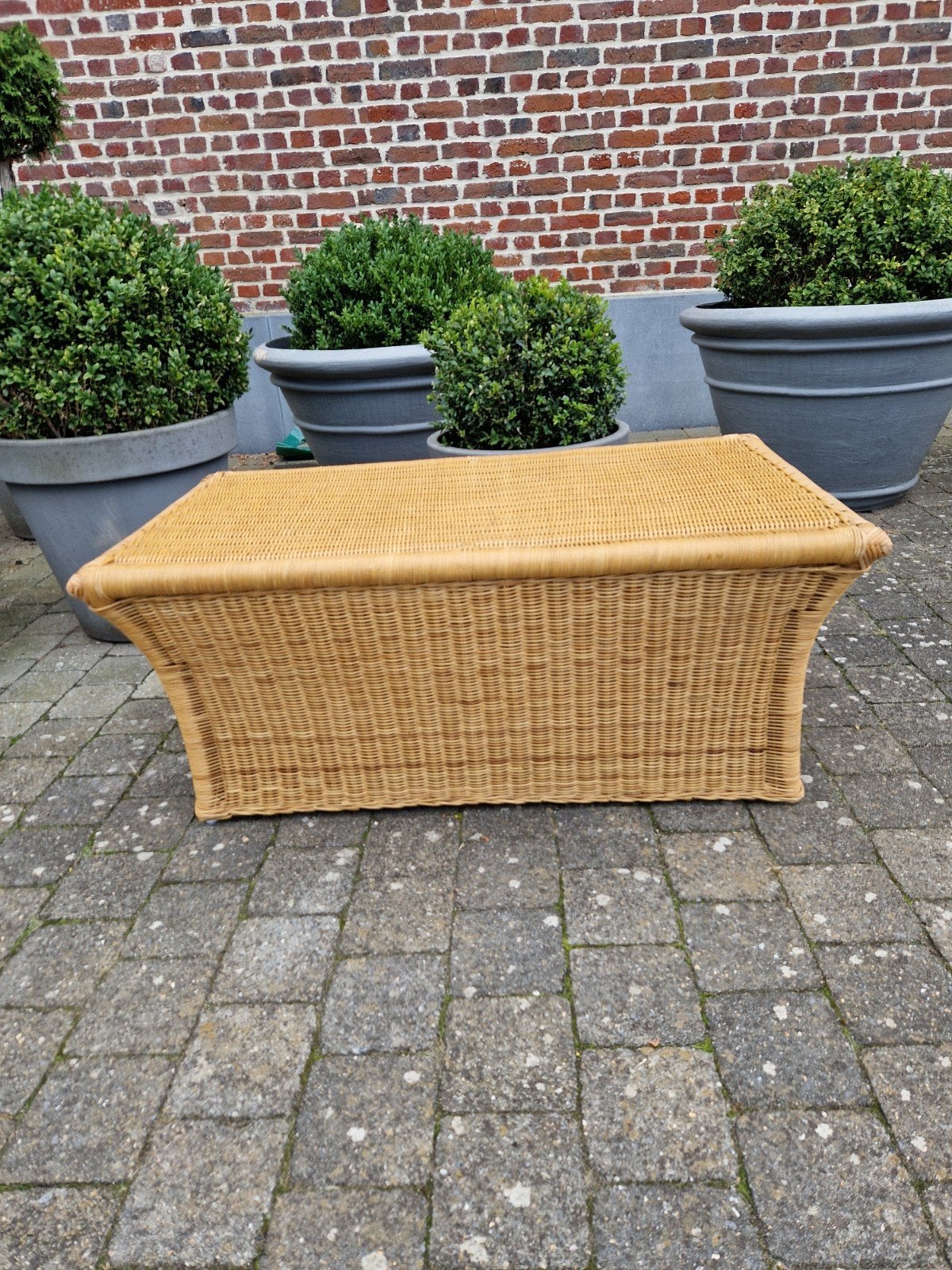Mooie rotan (salon) tafel, Ophalen, Overige materialen, 100 tot 150 cm, 50 tot 100 cm