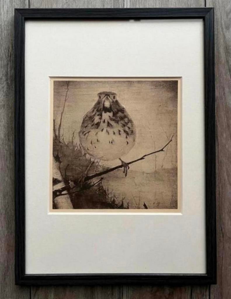 Jan Mankes 1889-1920 / Heliogravure Lijster op Tak 1923, Antiek en Kunst, Kunst | Etsen en Gravures, Ophalen