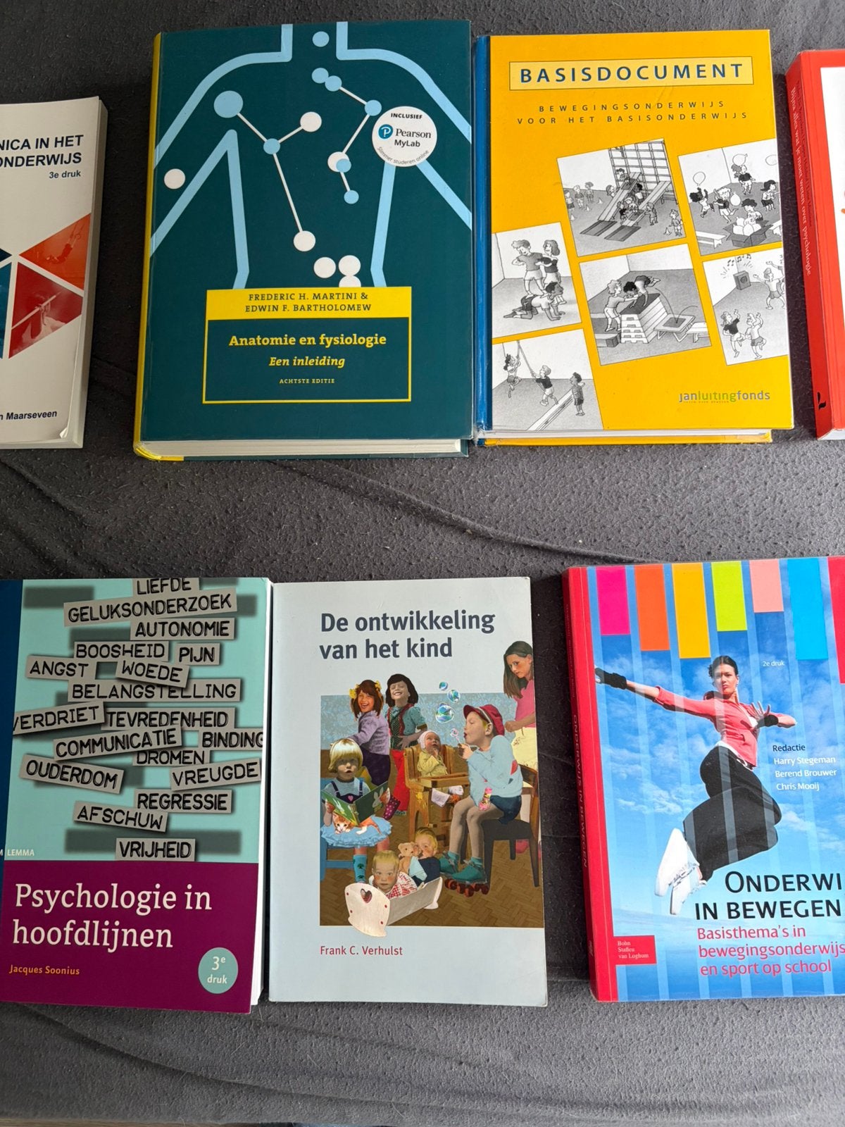 Studieboekenpakket halo, Boeken, Ophalen of Verzenden, Zo goed als nieuw, School, Studie en Wetenschap