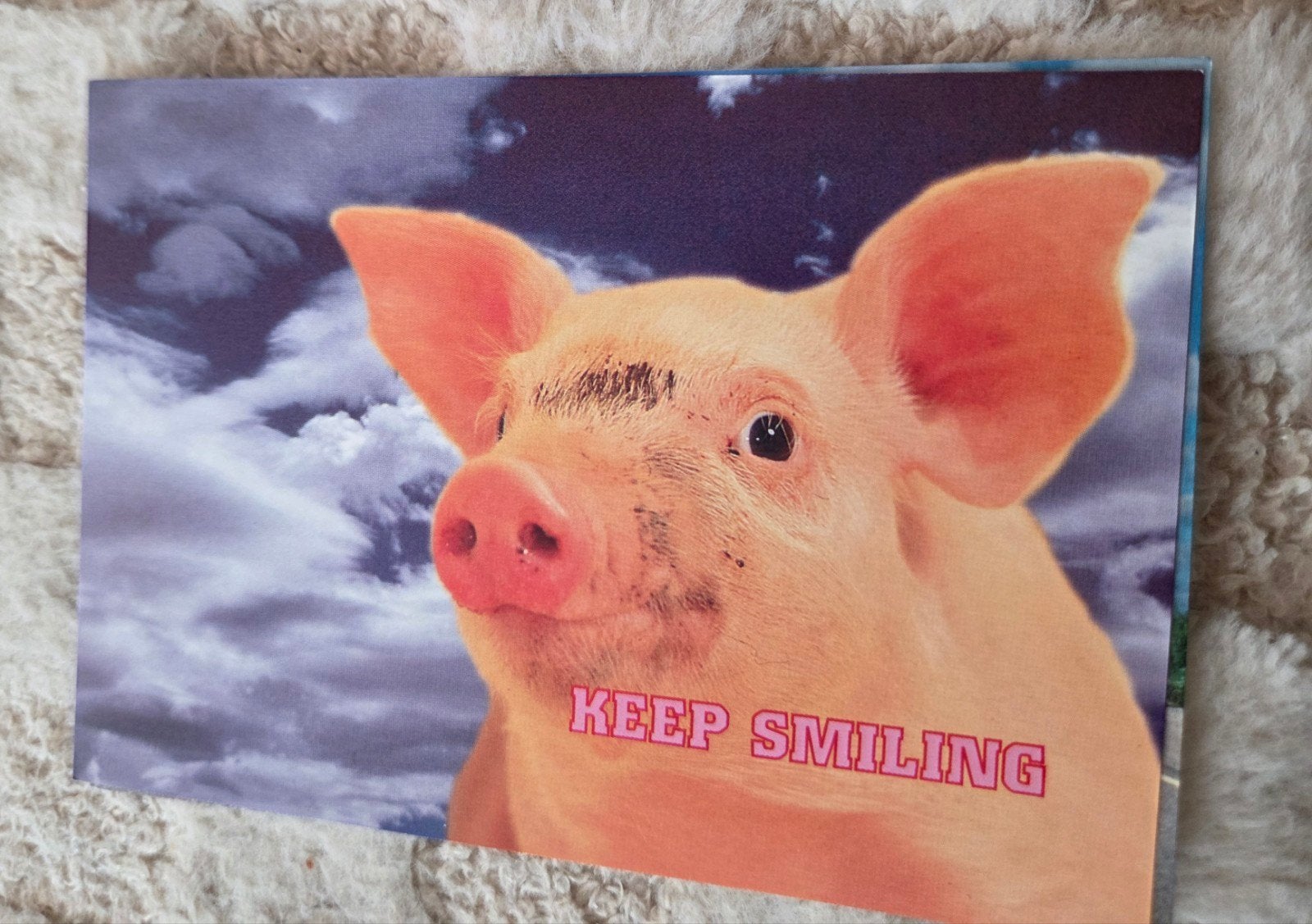Ansichtkaart met varken en 'Keep Smiling' tekst, Verzenden, 1980 tot heden, Ongelopen, Overige soorten
