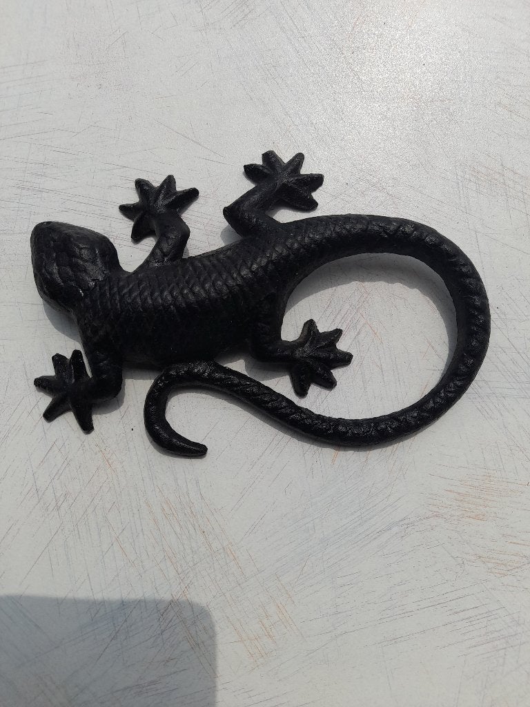 salamander van gietijzer, Ophalen of Verzenden