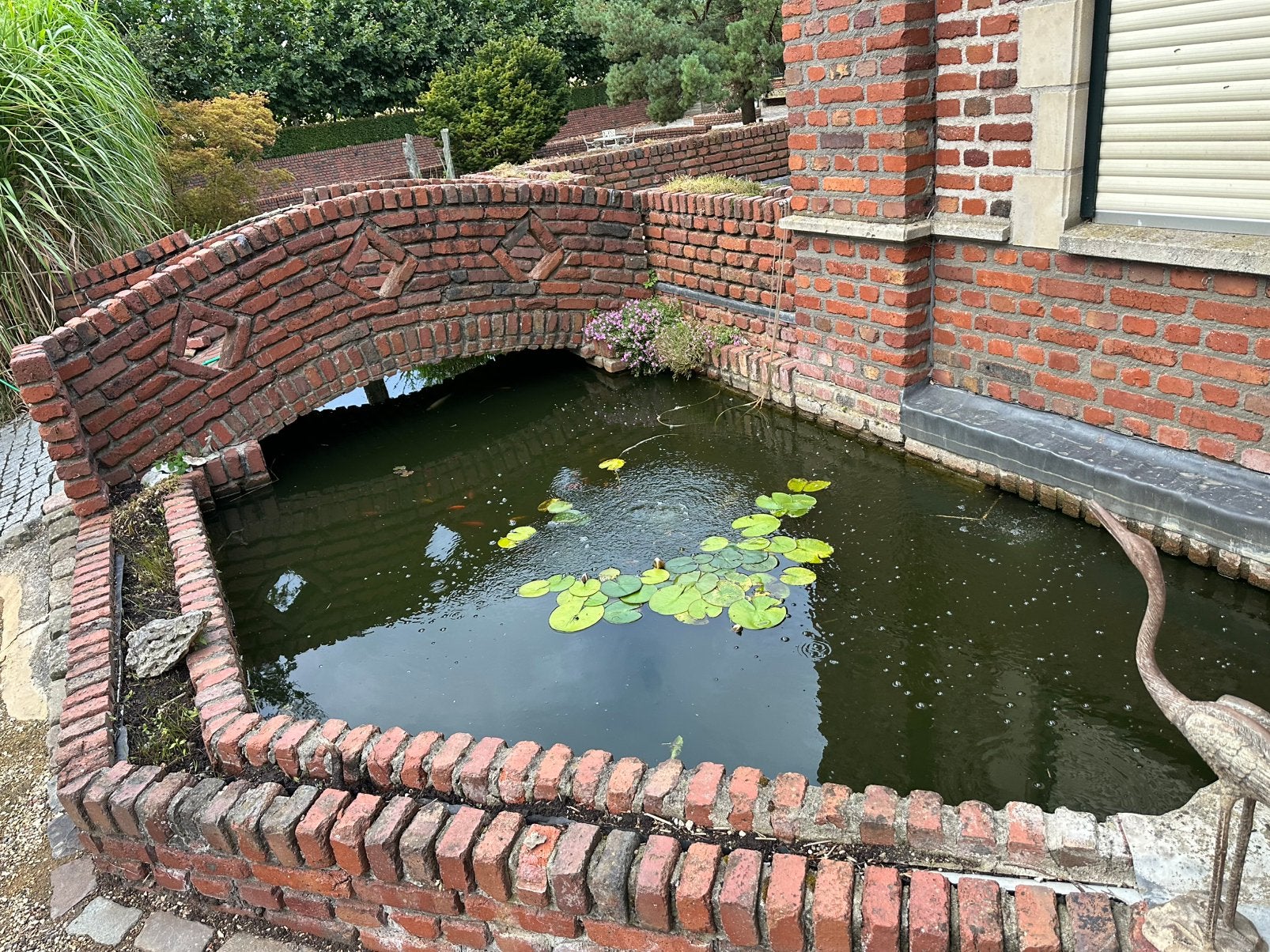 Vijvervissen Opvang – Een Nieuw Thuis voor uw Vissen, Dieren en Toebehoren