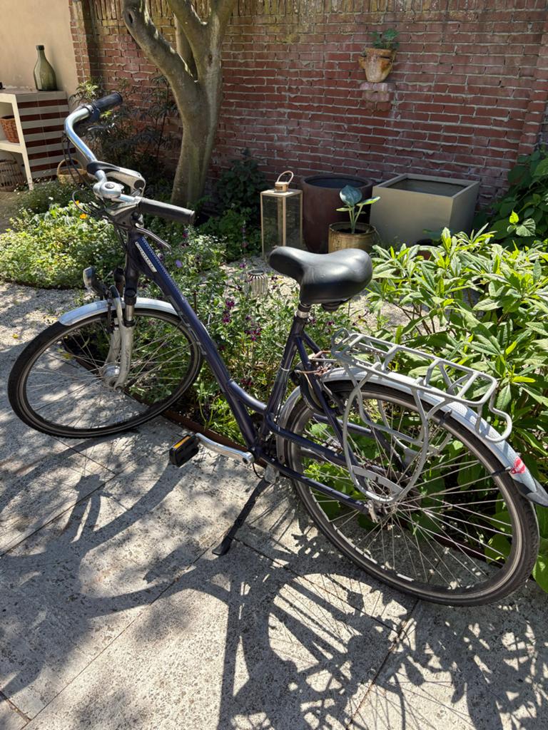 Puch Trekking Series Damesfiets - Opknapper, Fietsen en Brommers, Fietsen | Dames | Damesfietsen, Gebruikt, Overige merken, (Extra) lage instap