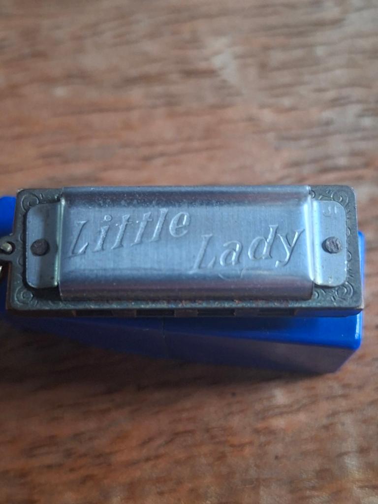 Hohner little lady miniatuur mondharmonica, Muziek en Instrumenten, Blaasinstrumenten | Mondharmonica's, Ophalen, C-mondharmonica