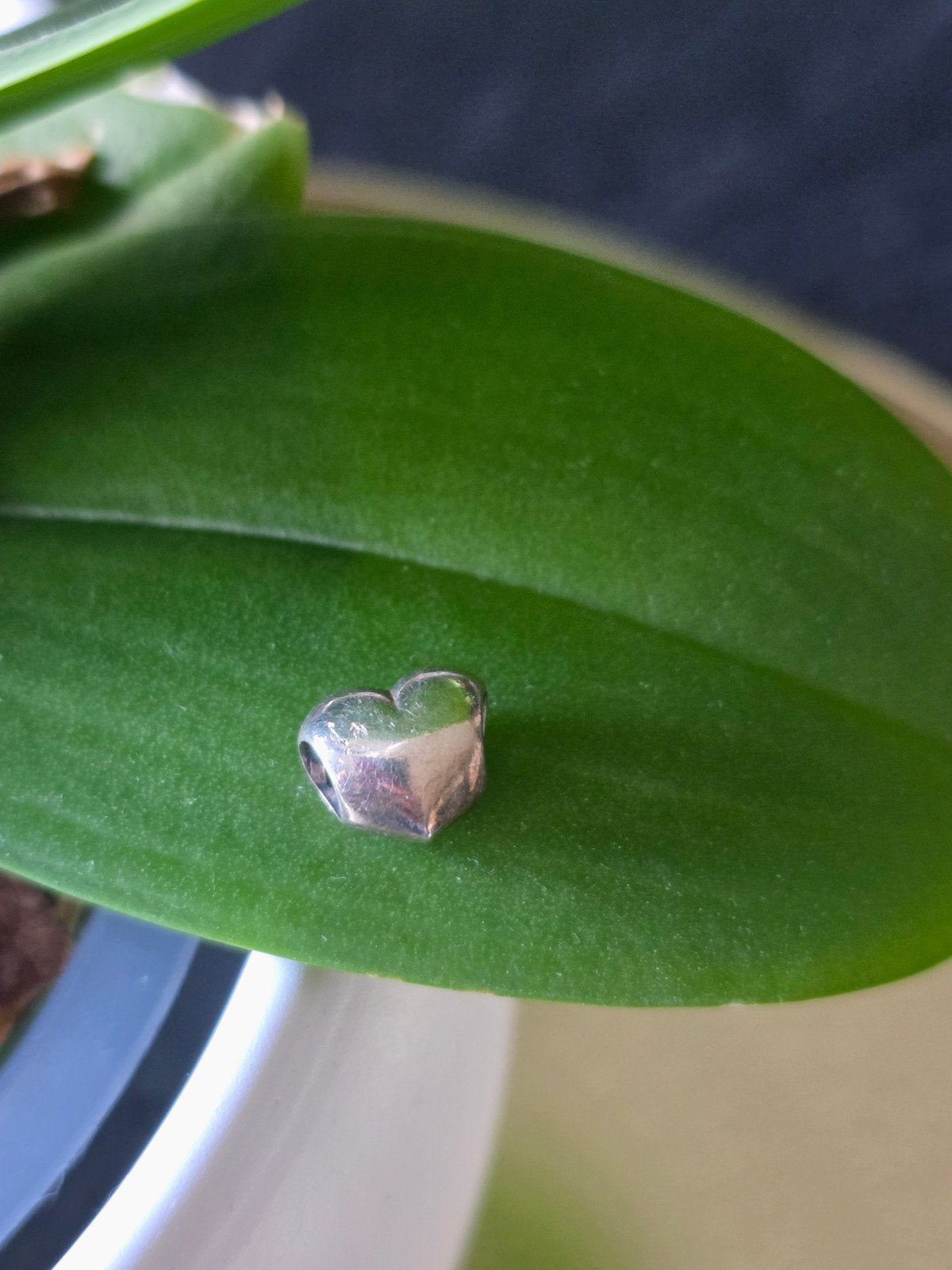 Pandora zilvere hart, Sieraden, Tassen en Uiterlijk, Bedels, Pandora, Ophalen of Verzenden, Zo goed als nieuw, 1 bedel