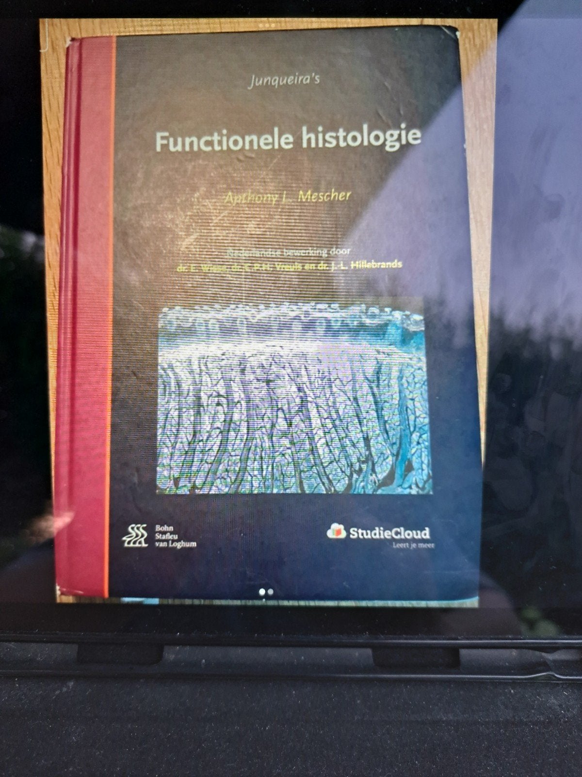 Functionele Histologie - Anthony L. Mescher (NL), Boeken, Ophalen of Verzenden