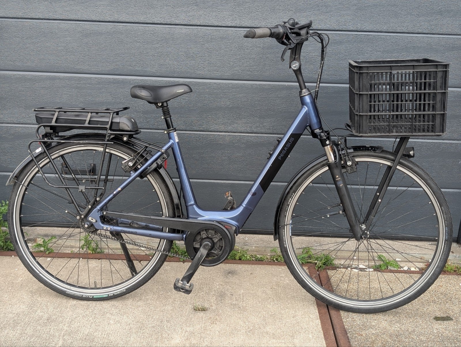Pegasus Siena Plus Belt Bosch Middenmotor Elektrische fiets, Fietsen en Brommers, Overige merken, Gebruikt, Pegasus, Pegasus