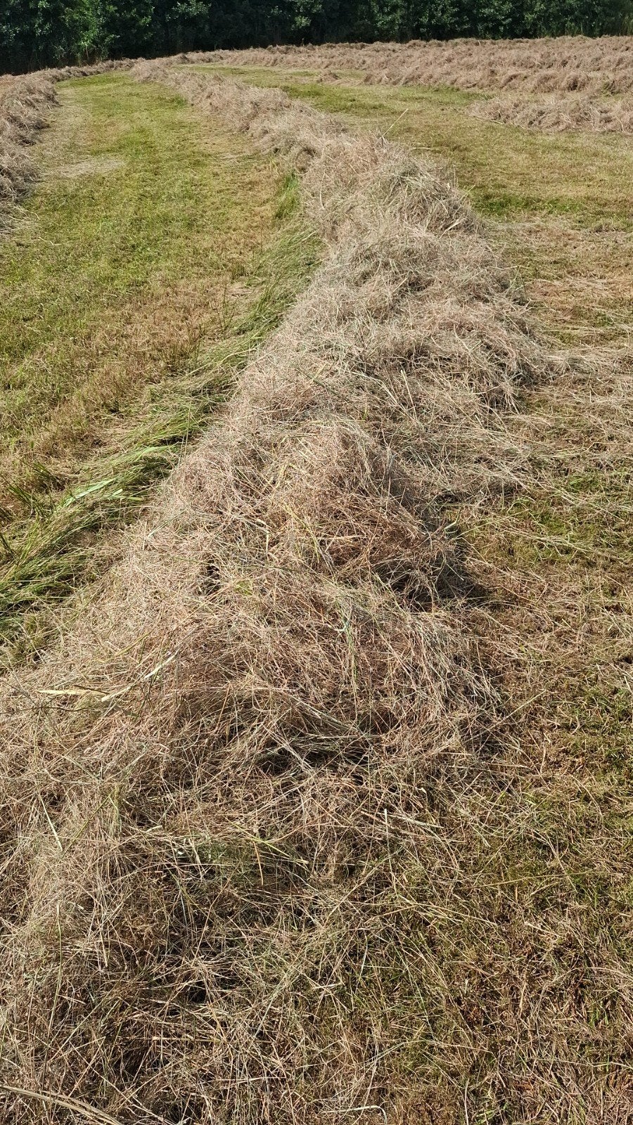 2e snee natuur hooi/kuil balen, Ophalen of Verzenden, Vee