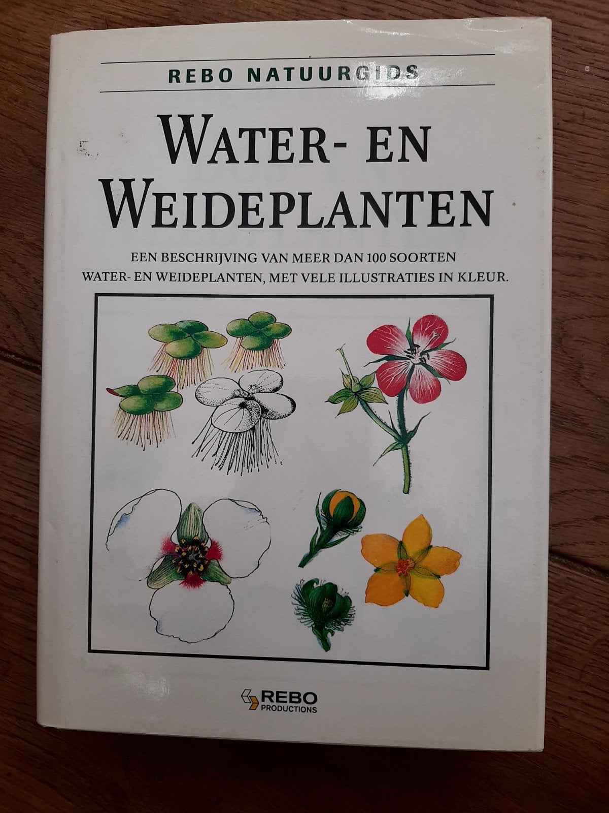 Rebo Natuurgids: Water- en Weideplanten, Boeken, Ophalen of Verzenden, Zo goed als nieuw, Bloemen, Planten en Bomen, Onbekend