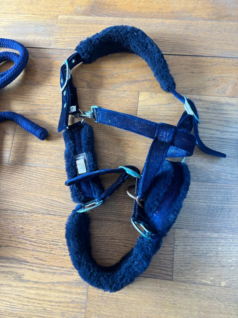 Halster (horsegear) met touw, Ophalen of Verzenden, Gebruikt, Overige soorten