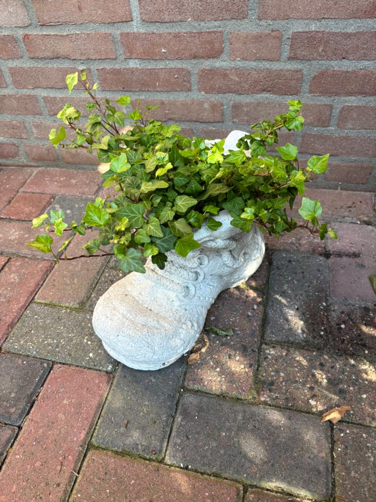 Tuinbeelden, Ophalen, Gebruikt