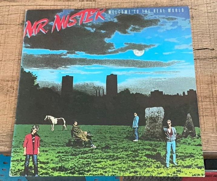 Mr Mister, Welcome To The Real World, lp, vinyl, Cd's en Dvd's, Vinyl | Rock, Ophalen of Verzenden, Zo goed als nieuw, 12 inch