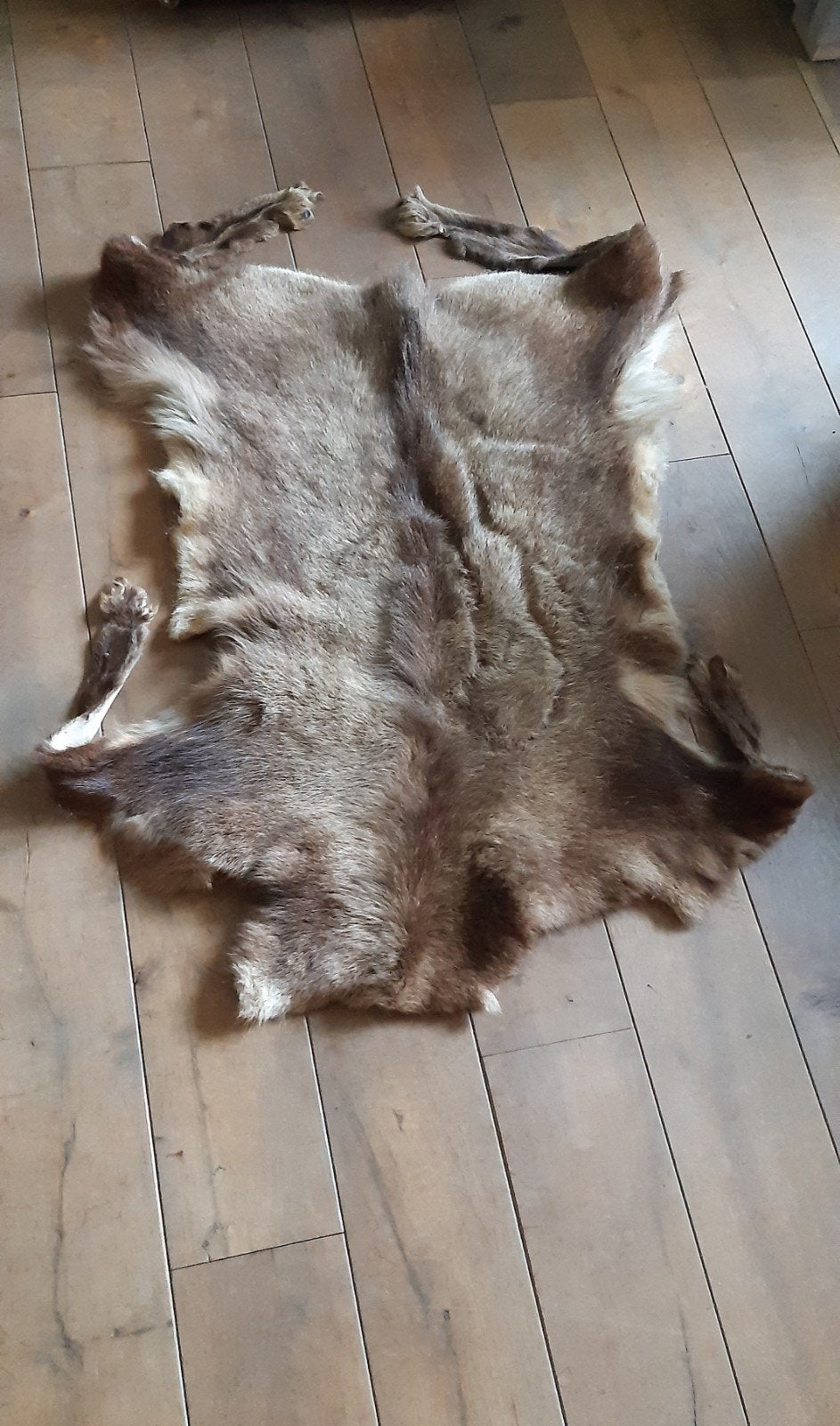 Moeflon vacht huid vel, 65 cm, Leer, Ophalen of Verzenden, Zo goed als nieuw