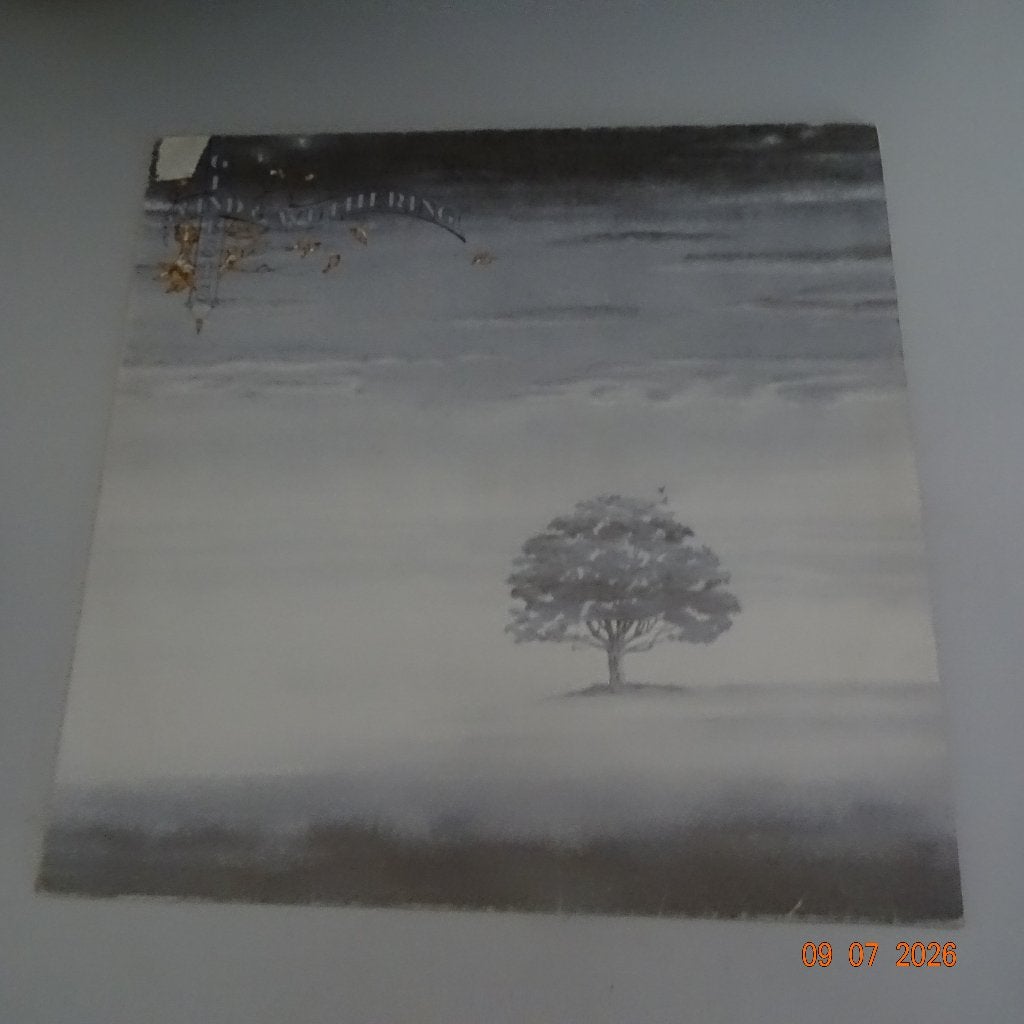 Genesis - Wind and Wuthering, LP, Verzenden, Progressive Rock, Gebruikt