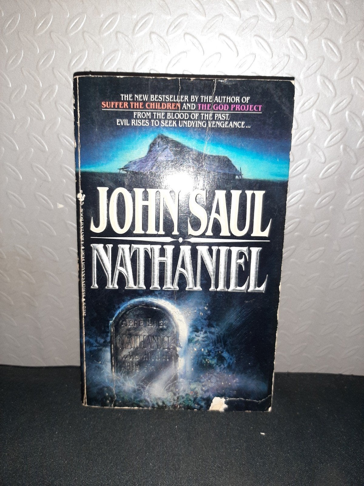 Nathaniel - John Saul (Engels, paperback), Boeken, Ophalen of Verzenden, Gelezen, John Saul, Amerika
