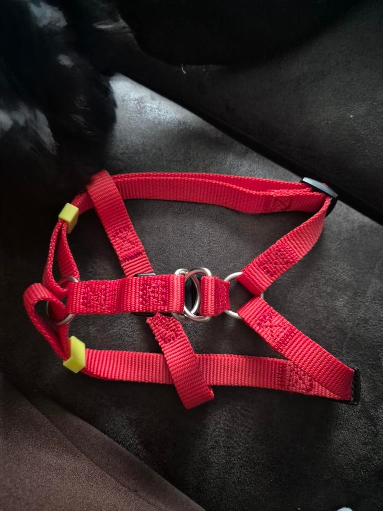 Rood tuigje, Dieren en Toebehoren, Ophalen of Verzenden, Zo goed als nieuw, Hondenriem
