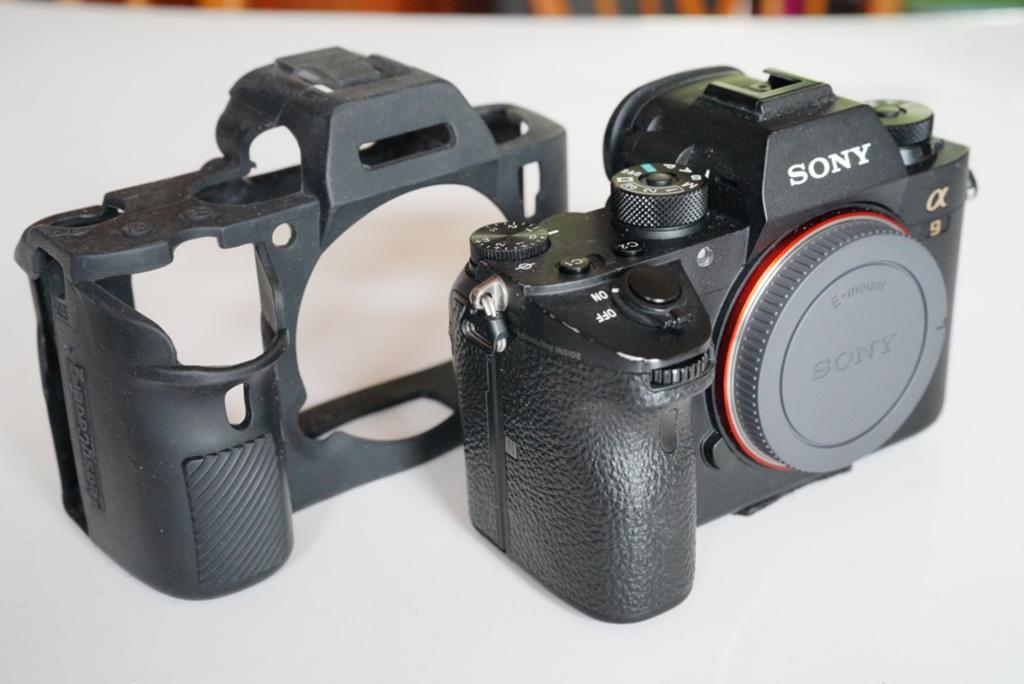 SONY A9-1, Ophalen of Verzenden, Sony, Geen optische zoom