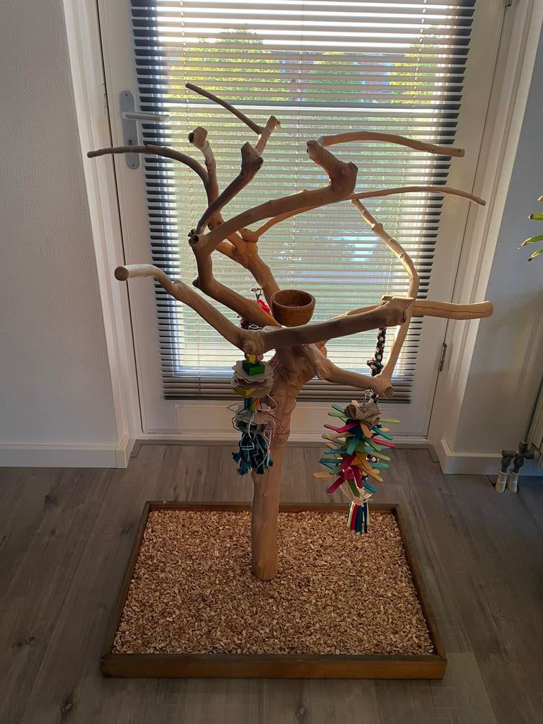 Java boom 160 cm hoog incl speeltje, Ophalen of Verzenden, Nieuw, Speelgoed