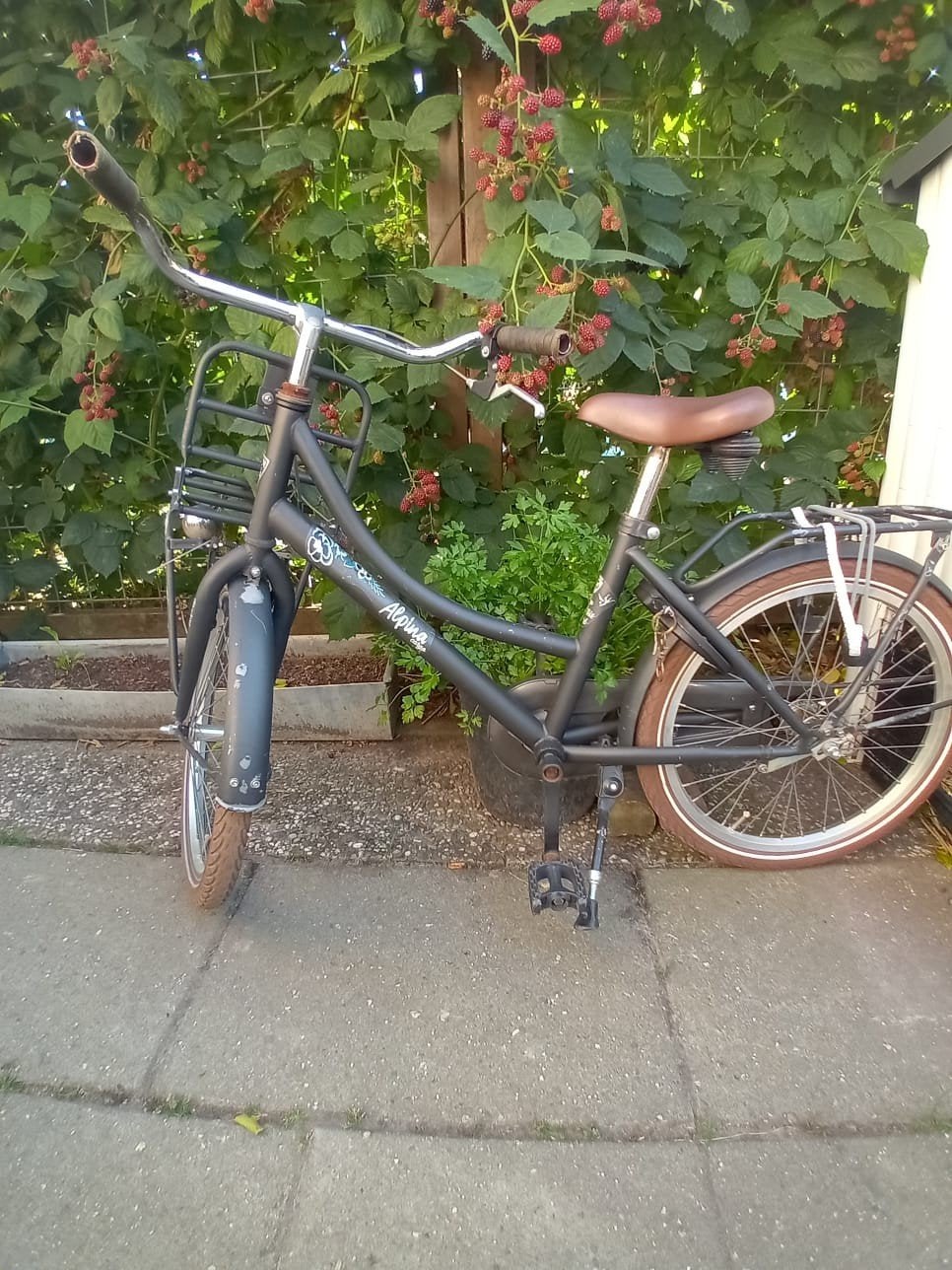Kinderfiets gebruikt maar in goede staat Alpina Cargo, Fietsen en Brommers, Fietsen | Kinderfietsjes, Ophalen, Gebruikt, Alpina Cargo