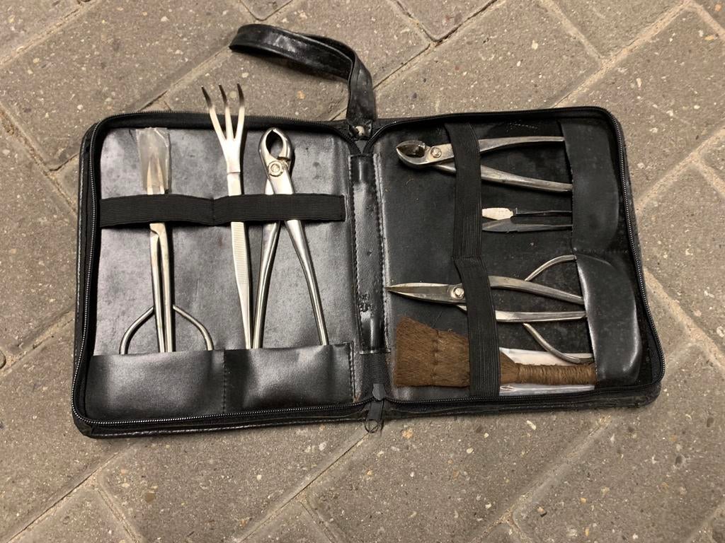 Bonsai — ‘ RVS Snoeiset “, Ophalen of Verzenden, Gebruikt, Minder dan 20 mm