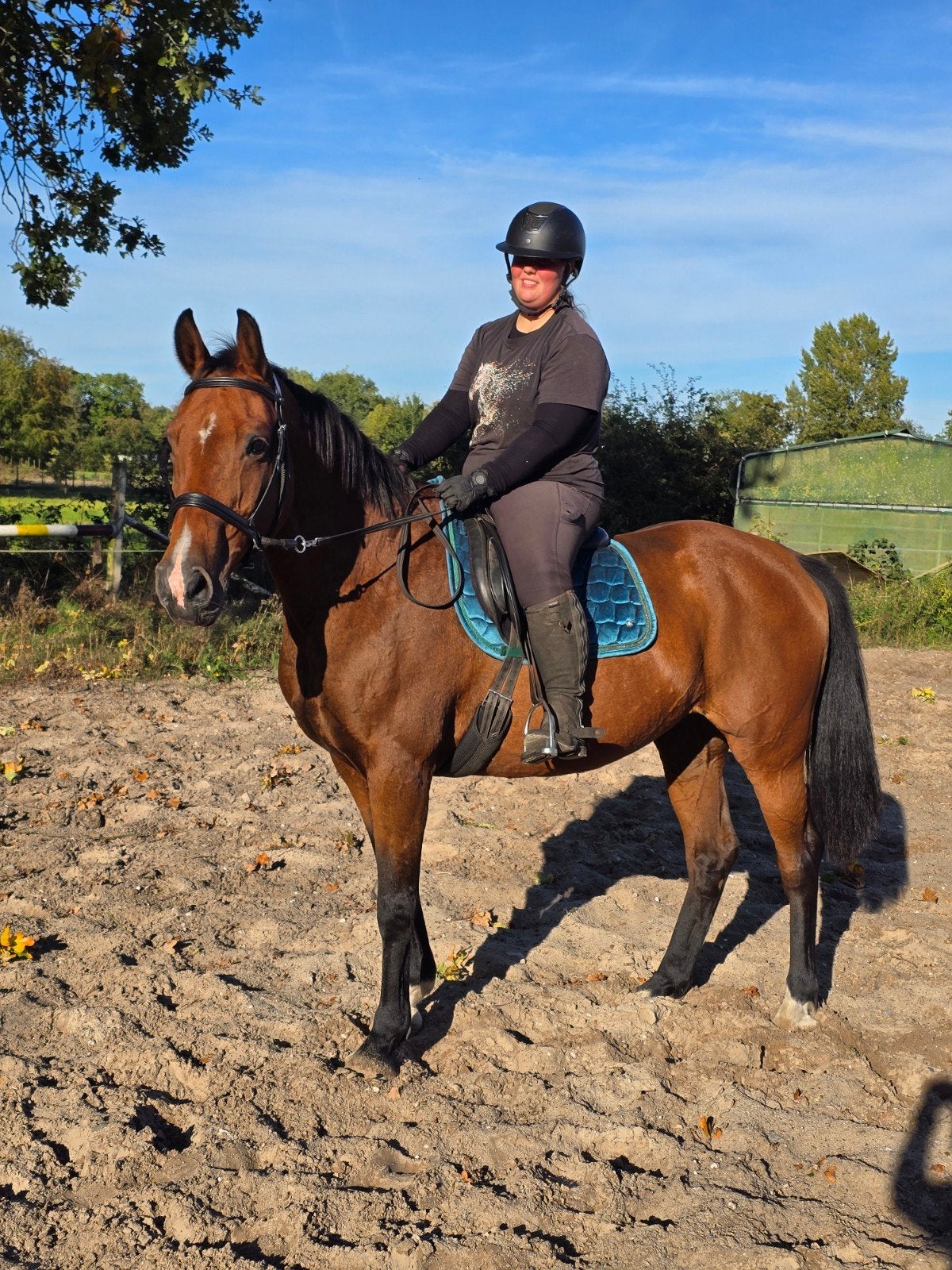 lieve mooie merrie 1.65, Dieren en Toebehoren, Merrie, 160 tot 165 cm, 11 jaar of ouder