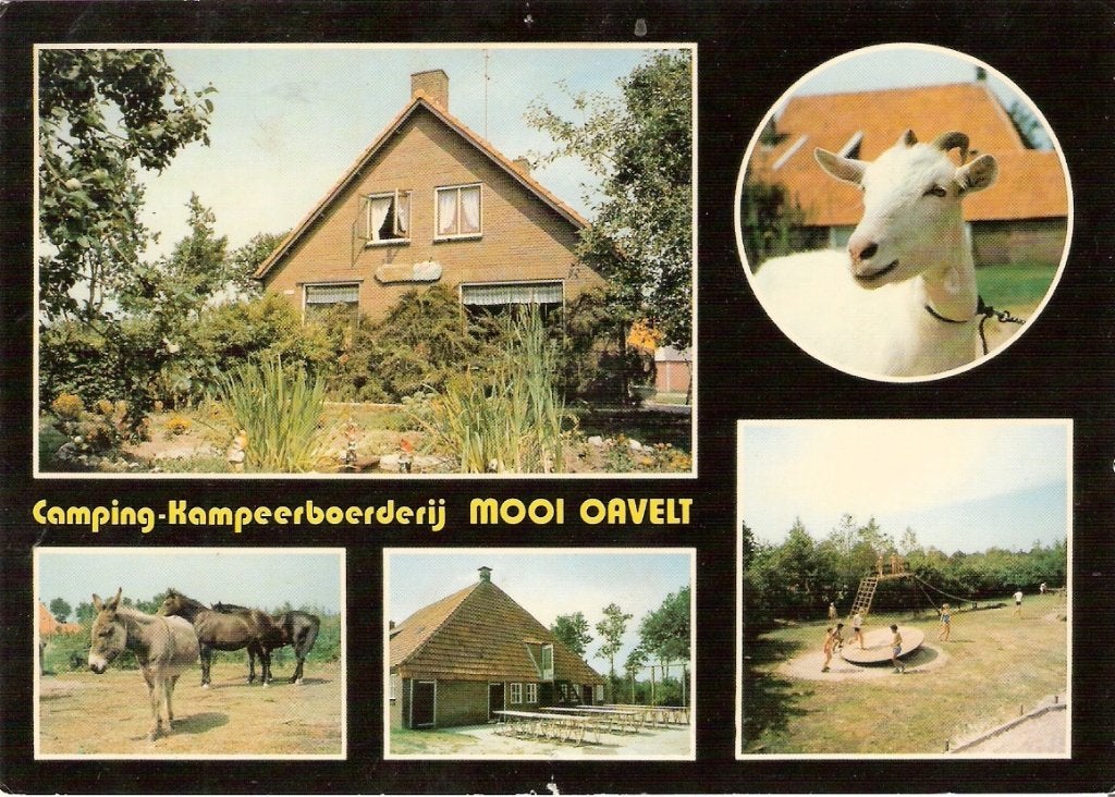 Havelte           466a, Ophalen of Verzenden, Voor 1920