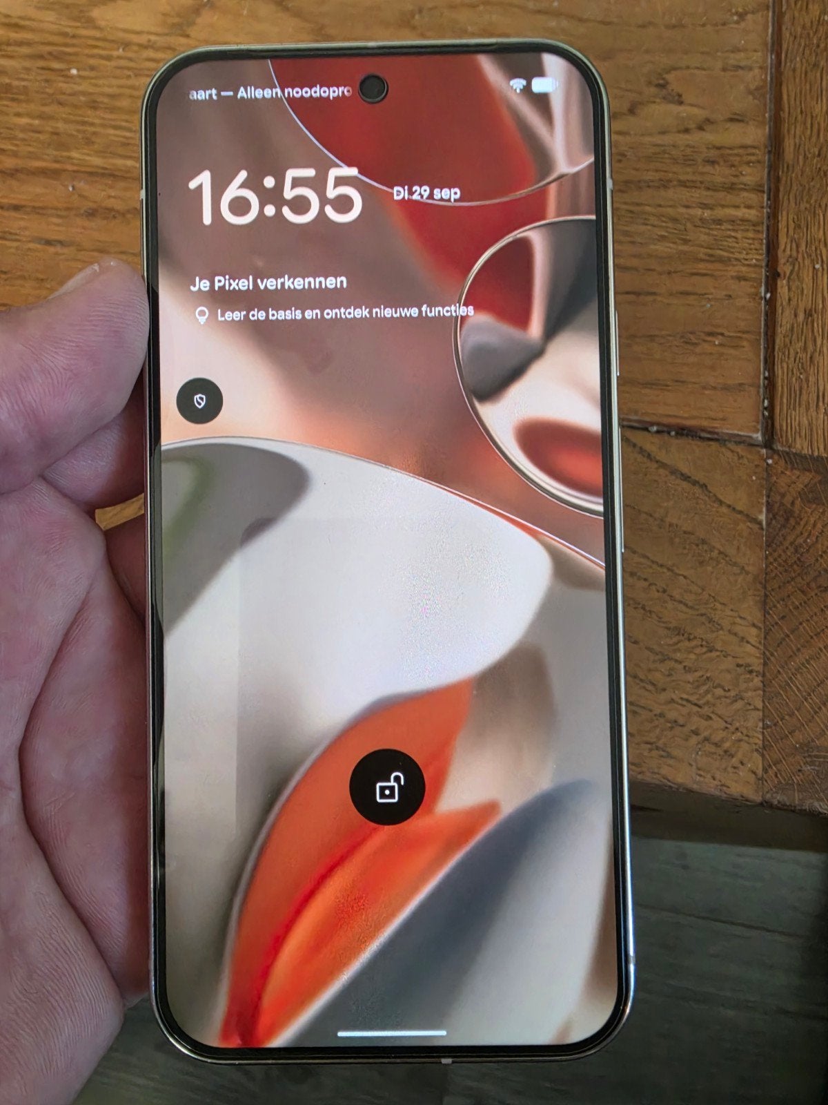 Google Pixel 9 Pro XL 250GB