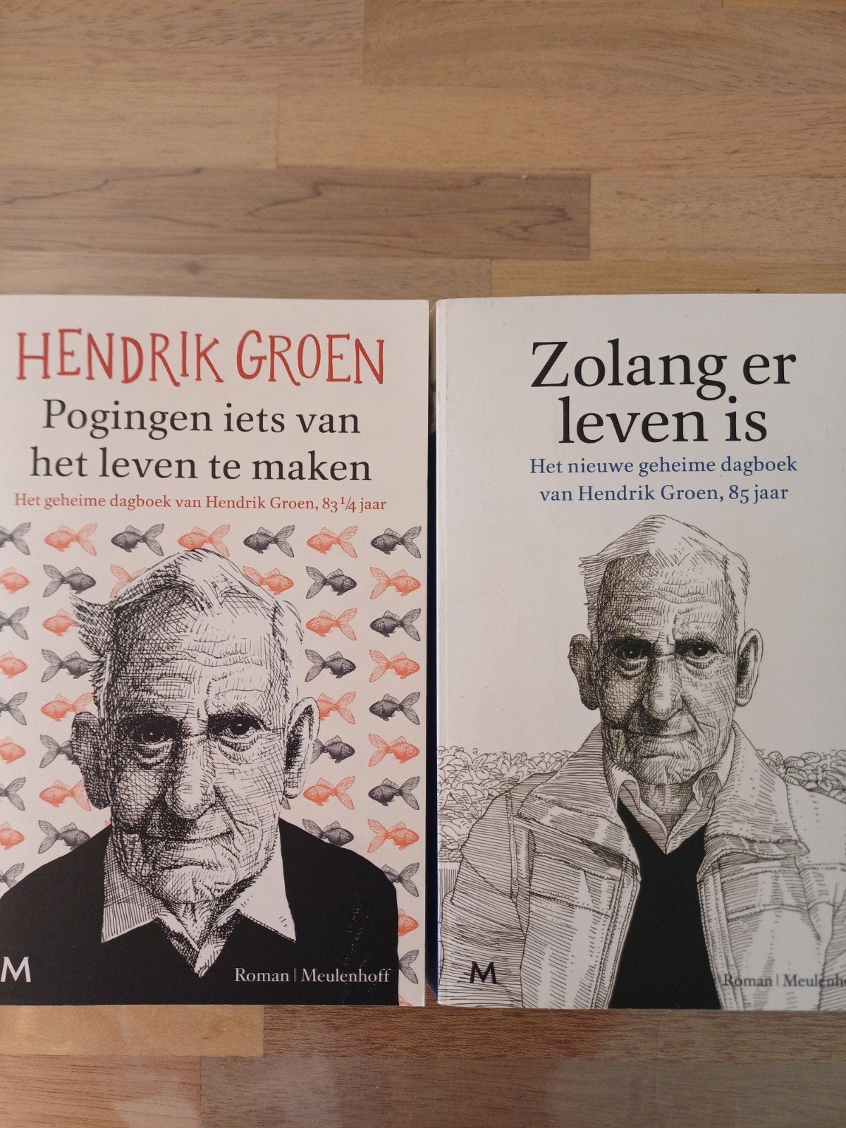 Hendrik Groen .Pogingen  en Zolang.. 2 dl, Ophalen of Verzenden, Zo goed als nieuw, Hendrik Groen